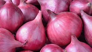 ONION